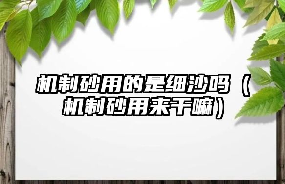 機制砂用的是細沙嗎（機制砂用來干嘛）