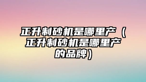 正升制砂機是哪里產（正升制砂機是哪里產的品牌）