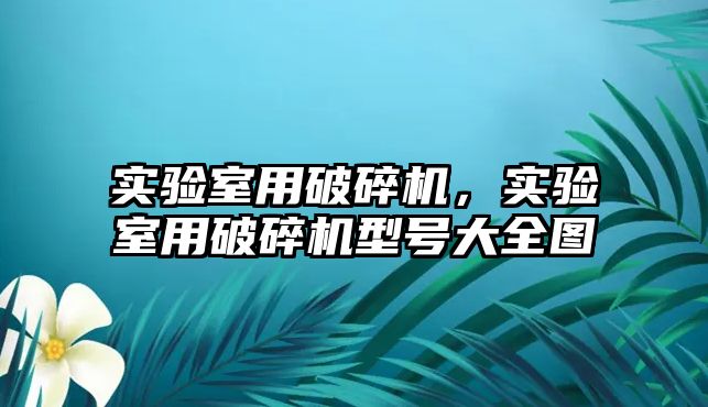 實驗室用破碎機，實驗室用破碎機型號大全圖