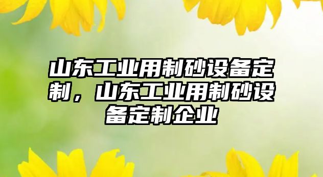 山東工業用制砂設備定制，山東工業用制砂設備定制企業