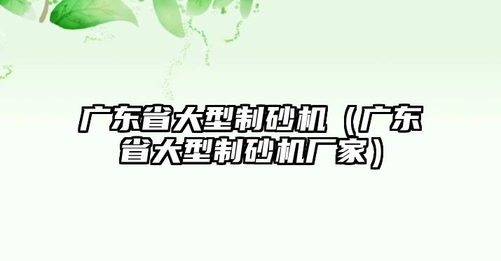 廣東省大型制砂機（廣東省大型制砂機廠家）