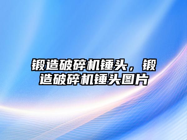 鍛造破碎機錘頭，鍛造破碎機錘頭圖片