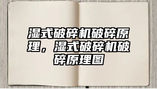 濕式破碎機破碎原理，濕式破碎機破碎原理圖