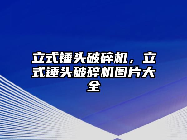 立式錘頭破碎機，立式錘頭破碎機圖片大全