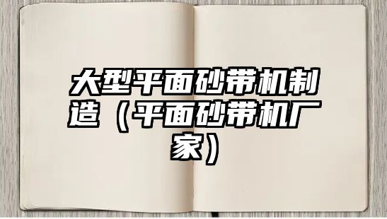 大型平面砂帶機制造（平面砂帶機廠家）