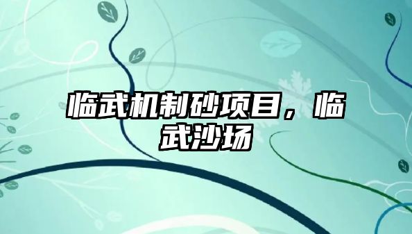 臨武機制砂項目，臨武沙場