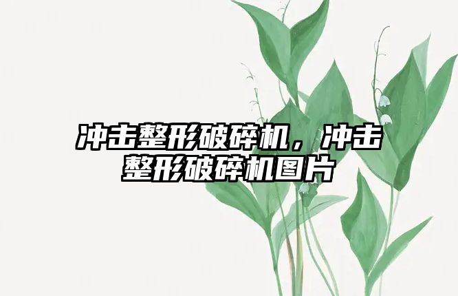 沖擊整形破碎機，沖擊整形破碎機圖片