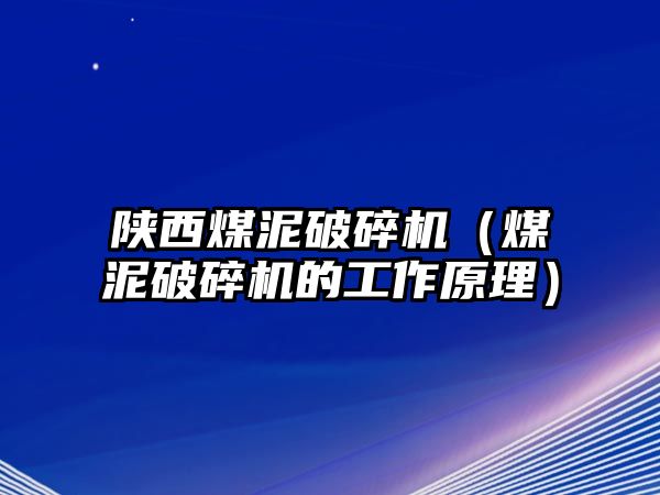 陜西煤泥破碎機（煤泥破碎機的工作原理）