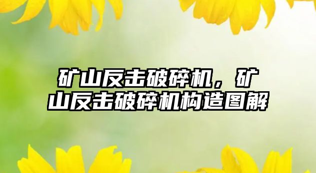 礦山反擊破碎機，礦山反擊破碎機構(gòu)造圖解