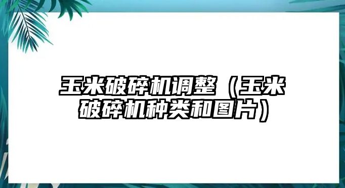 玉米破碎機調整（玉米破碎機種類和圖片）