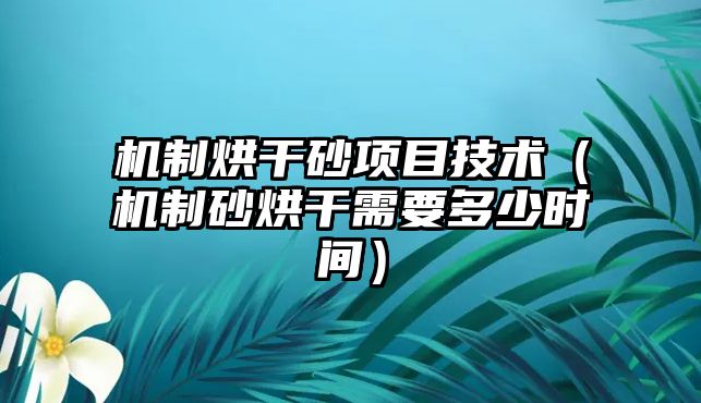 機制烘干砂項目技術（機制砂烘干需要多少時間）