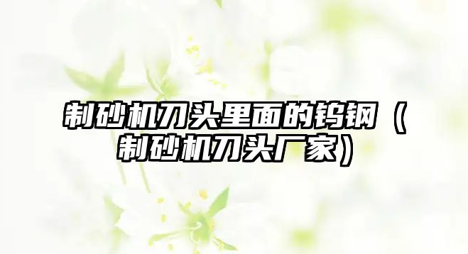 制砂機刀頭里面的鎢鋼（制砂機刀頭廠家）