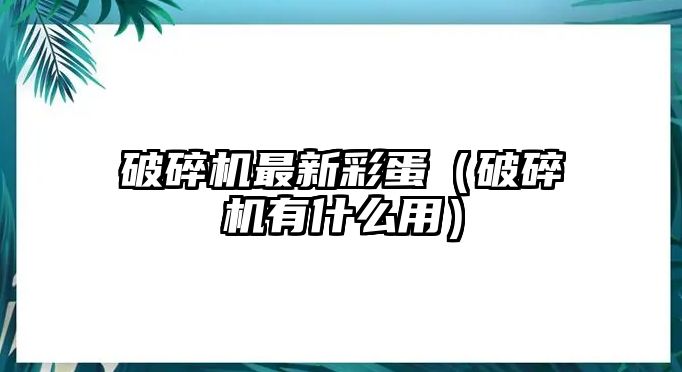 破碎機最新彩蛋（破碎機有什么用）