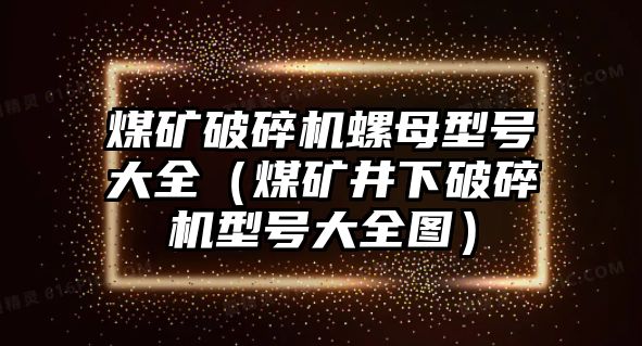 煤礦破碎機螺母型號大全（煤礦井下破碎機型號大全圖）