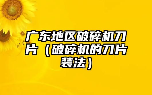 廣東地區破碎機刀片（破碎機的刀片裝法）