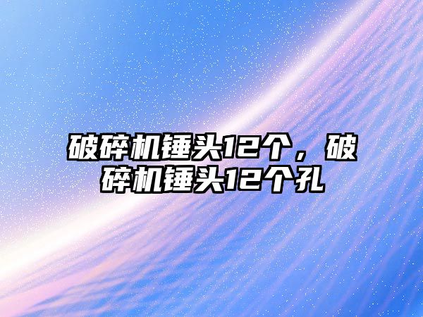 破碎機錘頭12個，破碎機錘頭12個孔