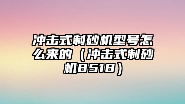 沖擊式制砂機型號怎么來的（沖擊式制砂機8518）