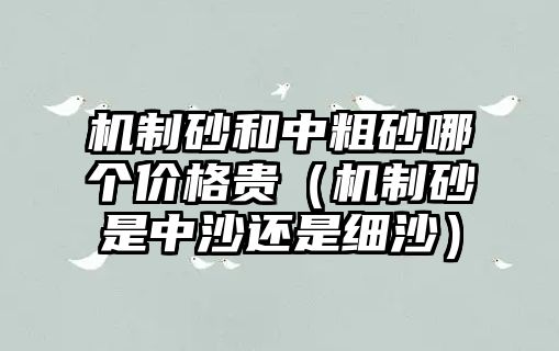 機(jī)制砂和中粗砂哪個價格貴（機(jī)制砂是中沙還是細(xì)沙）