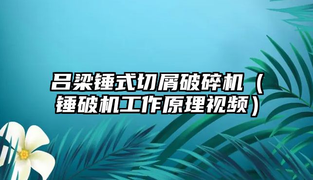 呂梁錘式切屑破碎機（錘破機工作原理視頻）