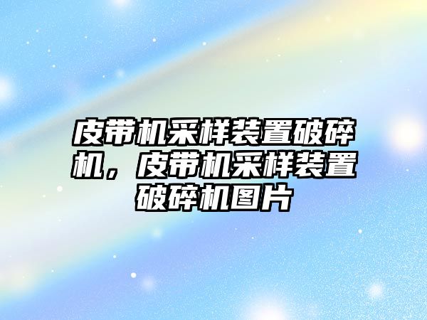 皮帶機采樣裝置破碎機，皮帶機采樣裝置破碎機圖片