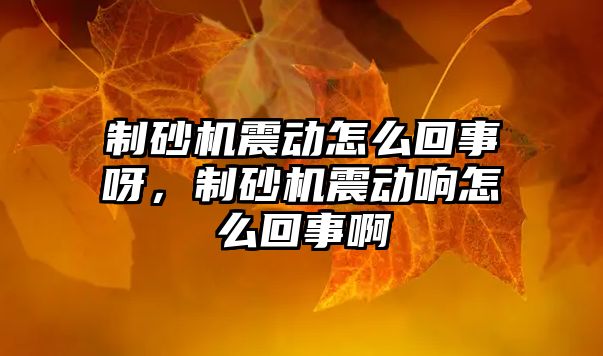 制砂機震動怎么回事呀，制砂機震動響怎么回事啊