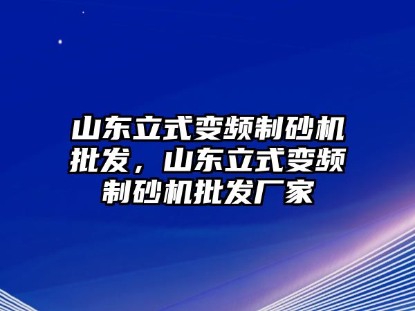 山東立式變頻制砂機批發，山東立式變頻制砂機批發廠家