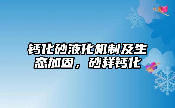 鈣化砂液化機制及生態(tài)加固，砂樣鈣化