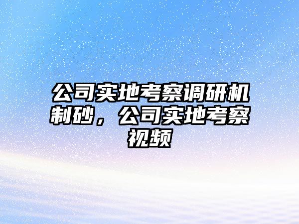 公司實地考察調(diào)研機(jī)制砂，公司實地考察視頻