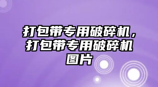 打包帶專用破碎機，打包帶專用破碎機圖片