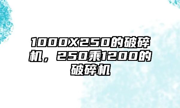 1000X250的破碎機，250乘1200的破碎機