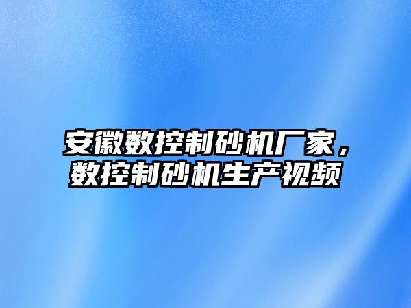 安徽數控制砂機廠家，數控制砂機生產視頻