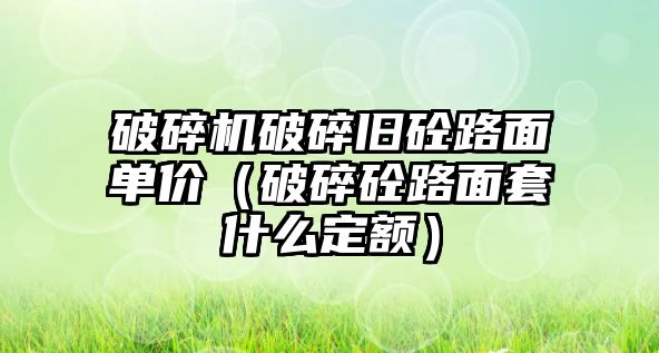 破碎機破碎舊砼路面單價（破碎砼路面套什么定額）