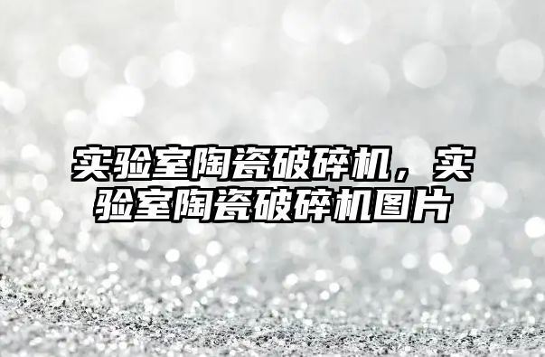 實驗室陶瓷破碎機，實驗室陶瓷破碎機圖片