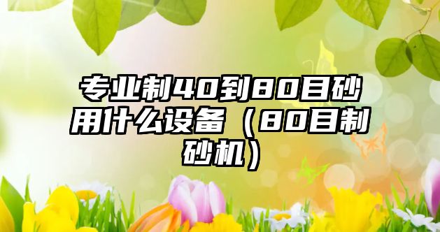 專業制40到80目砂用什么設備（80目制砂機）