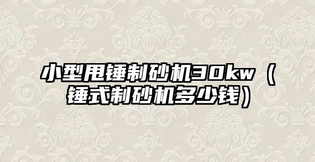 小型甩錘制砂機30kw（錘式制砂機多少錢）