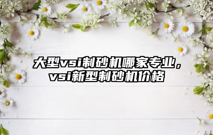 大型vsi制砂機哪家專業，vsi新型制砂機價格