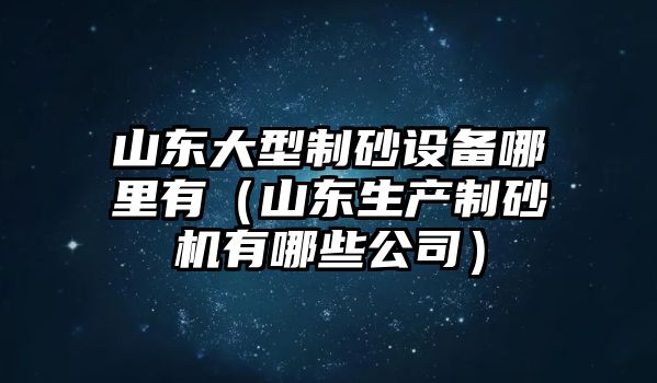 山東大型制砂設備哪里有（山東生產制砂機有哪些公司）