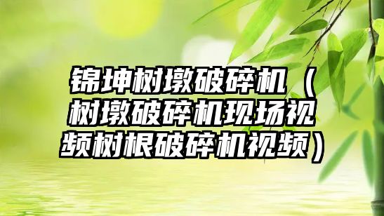 錦坤樹墩破碎機（樹墩破碎機現場視頻樹根破碎機視頻）