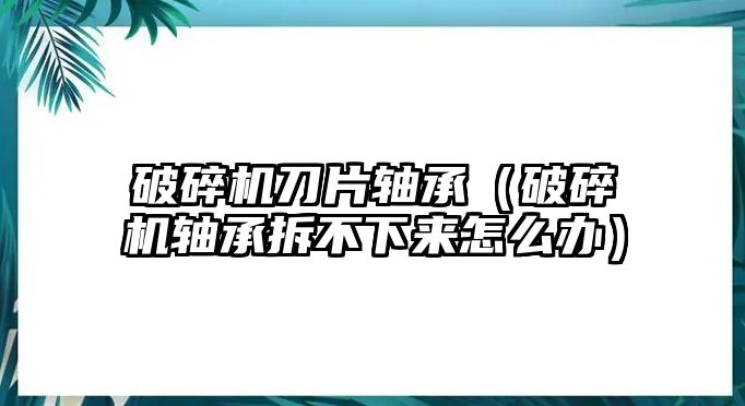 破碎機刀片軸承（破碎機軸承拆不下來怎么辦）