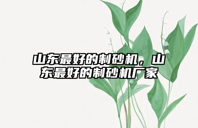 山東最好的制砂機，山東最好的制砂機廠家