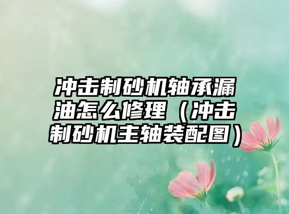 沖擊制砂機軸承漏油怎么修理（沖擊制砂機主軸裝配圖）