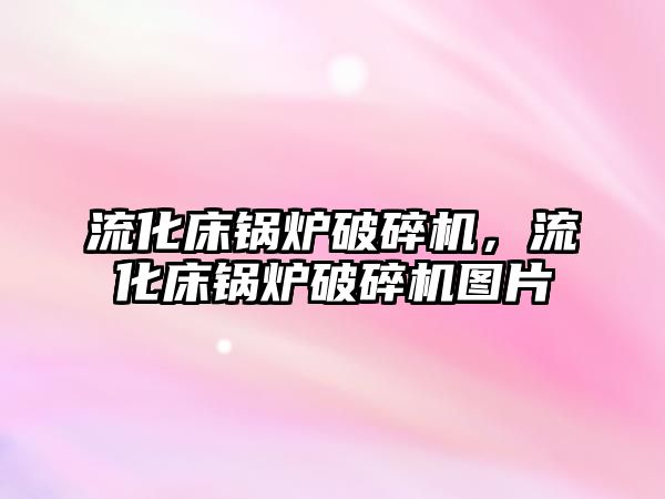 流化床鍋爐破碎機，流化床鍋爐破碎機圖片