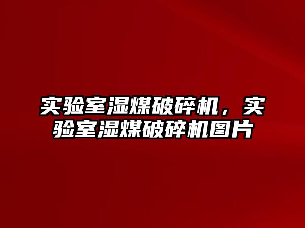 實驗室濕煤破碎機，實驗室濕煤破碎機圖片