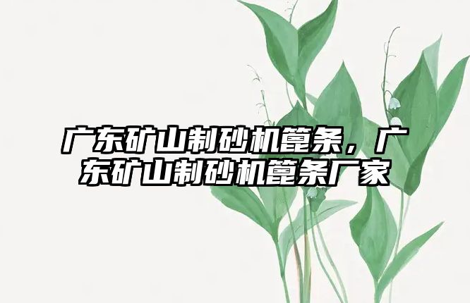 廣東礦山制砂機篦條，廣東礦山制砂機篦條廠家