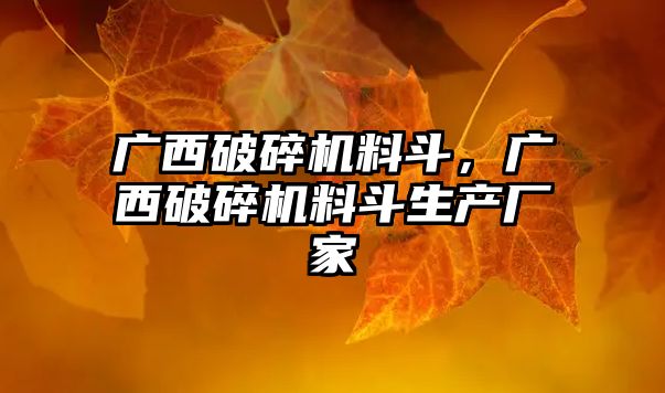 廣西破碎機料斗，廣西破碎機料斗生產廠家