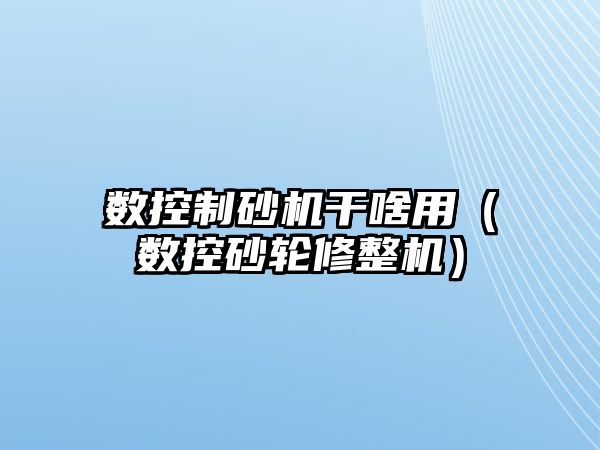 數控制砂機干啥用（數控砂輪修整機）