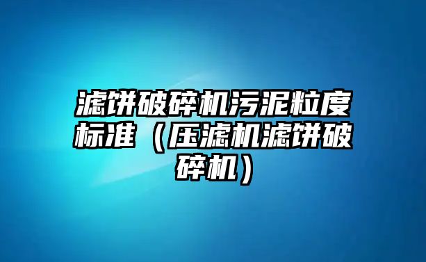 濾餅破碎機污泥粒度標準（壓濾機濾餅破碎機）