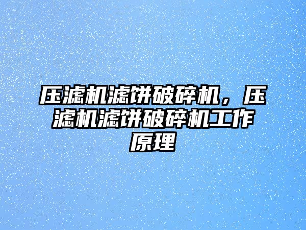 壓濾機濾餅破碎機，壓濾機濾餅破碎機工作原理