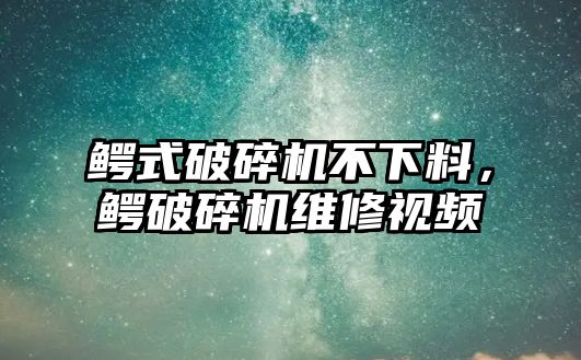 鱷式破碎機不下料，鱷破碎機維修視頻