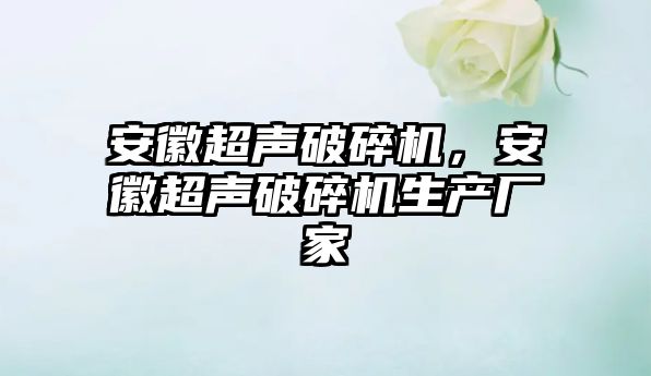 安徽超聲破碎機，安徽超聲破碎機生產廠家